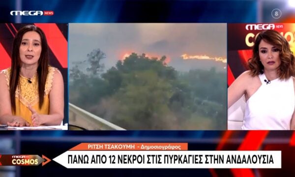 Σαρώνει ο καύσωνας στη Γαλλία – Τουλάχιστον 78.000 στρέμματα έχουν καταστραφεί από τις φωτιές σε μόλις 8 ημέρες