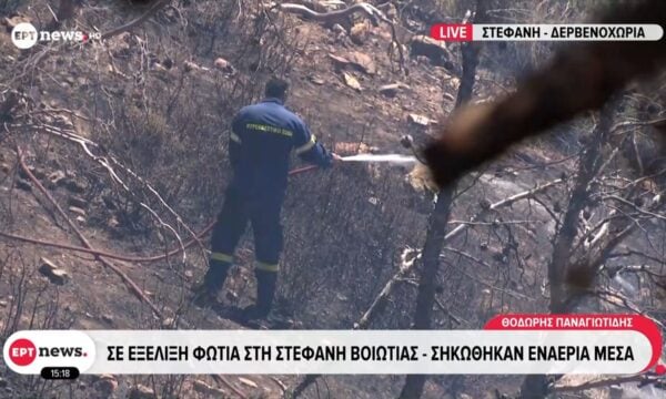 Σε εξέλιξη η φωτιά στη Στεφάνη Βοιωτίας – Σηκώθηκαν εναέρια μέσα