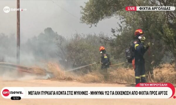 Σε εξέλιξη η πυρκαγιά στο Φίχτι Αργολίδας – Μήνυμα από 112 για απομάκρυνση προς Άργος