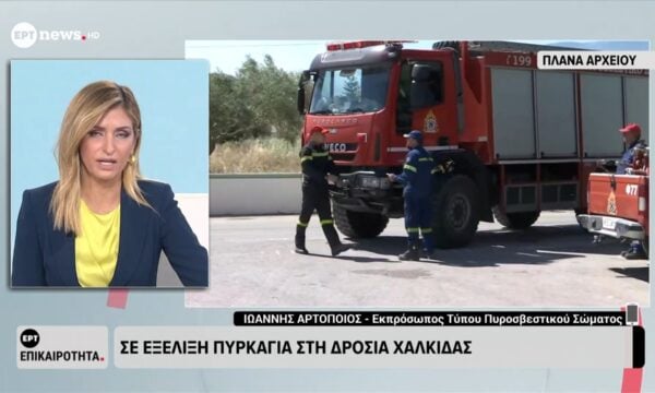 Σε εξέλιξη πυρκαγιά στη Δροσιά Χαλκίδας