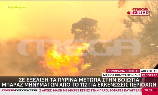 Σε εξέλιξη τα πύρινα μέτωπα στη Βοιωτία – Μπαράζ μηνυμάτων από το 112 για εκκενώσεις περιοχών