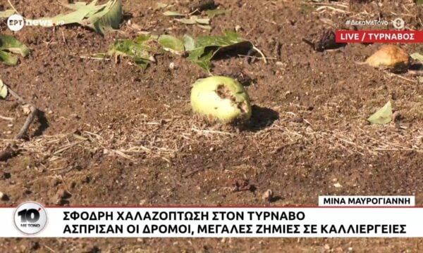 Σφοδρή χαλαζοπτωση στον Τύρναβο – Άσπρισαν οι δρόμοι, μεγάλες ζημιές σε καλλιέργειες