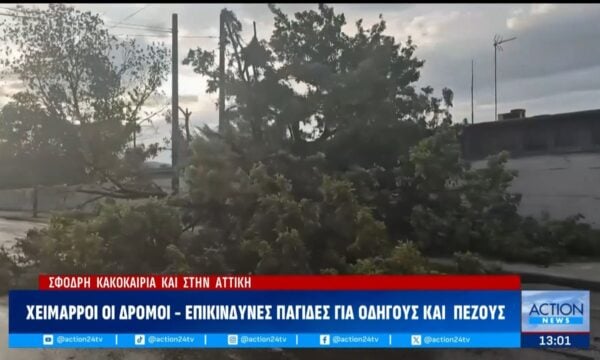 Σφοδρή κακοκαιρία στην καρδιά του καλοκαιριού: Ποτάμια έγιναν οι δρόμοι, ξεριζώθηκαν δέντρα, οδηγοί εγκλωβίστηκαν
