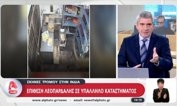 Σκηνές τρόμου στην Ινδία | Καμηλοπάρδαλη επιτέθηκε σε υπάλληλο καταστηματος