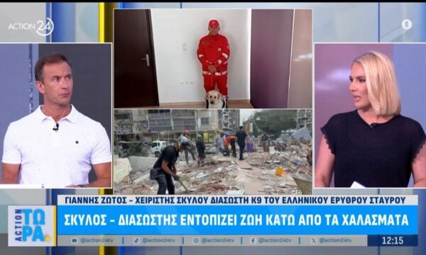Σκύλος – διασώστης εντοπίζει ζωή κάτω από τα χαλάσματα