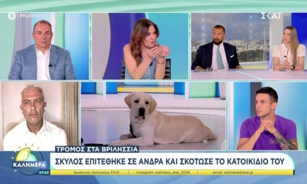 Σκύλος επιτέθηκε σε άντρα και σκότωσε το κατοικίδιό του – Τι λέει ο νόμος και η σωστή εκπαίδευση