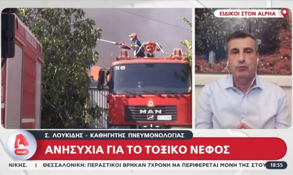 Στ. Λουκίδης: Υπάρχει επιβάρυνση από το τοξικό νέφος
