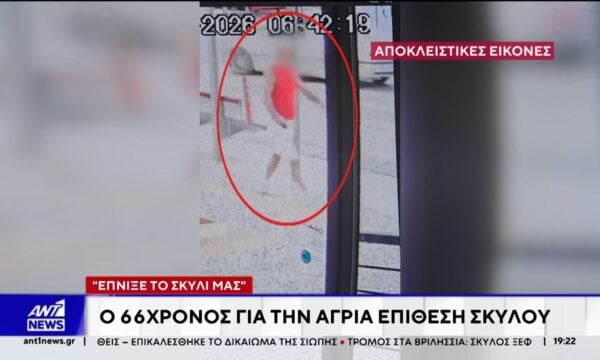 Στον ΑΝΤ1 ο 66χρονος για την άγρια επίθεση σκύλου στα Βριλήσσια: “Έπνιξε το σκυλί μας”