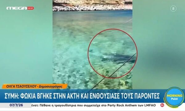 Σύμη: Φώκια βγήκε στην ακτή και ενθουσίασε τους παρόντες