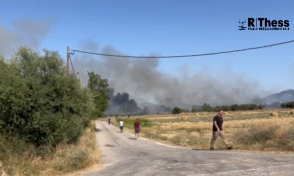 Συναγερμός στη Σουρωτή Θεσσαλονίκης: Πυρκαγιά σε αγροτοδασική έκταση / Εστάλη 112