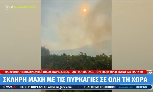 Συνεχίζεται η μάχη με τις πυρκαγιές στην Κρήτη – Δήμαρχος Φαιστού
