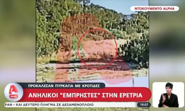 Συνελήφθησαν δύο ανήλικοι στην Ερέτρια – Έριξαν κροτίδες προκαλώντας φωτιά