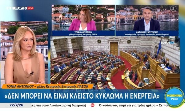 Τ. Αντωνίου: «Δεν μπορεί να είναι κλειστό κύκλωμα η ενέργεια»