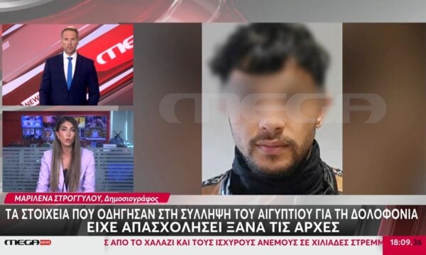 Τα στοιχεία που οδήγησαν στην σύλληψη του Αιγύπτιου που δολοφόνησε τον Σταύρο Γεωργίου.