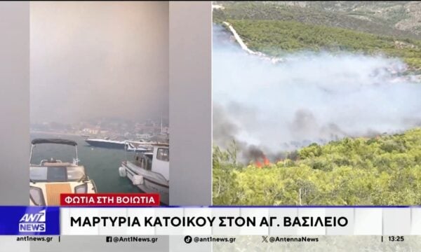 Τα τελευταία νέα από τη φωτιά στη Βοιωτία