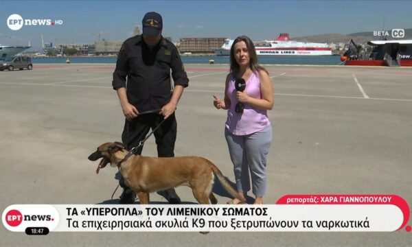 Τα ”υπερόπλα” του Λιμενικού Σώματος: Τα επιχειρησιακά σκυλιά Κ9 που ξετρυπώνουν τα ναρκωτικά