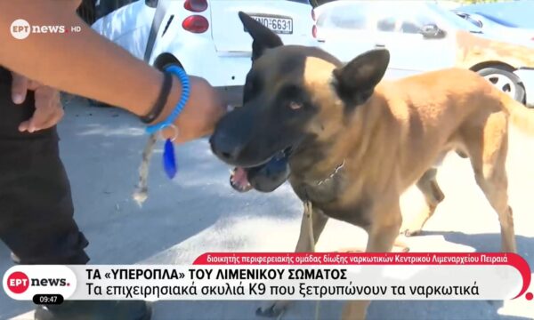 Τα υπερόπλα του Λιμενικού Σώματος: Τα επιχειρησιακά σκυλιά Κ9 που ξετρυπώνουν ναρκωτικά
