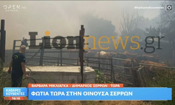 Τελευταία εξέλιξη: Φωτιά στην Οινόουσα Σερρών