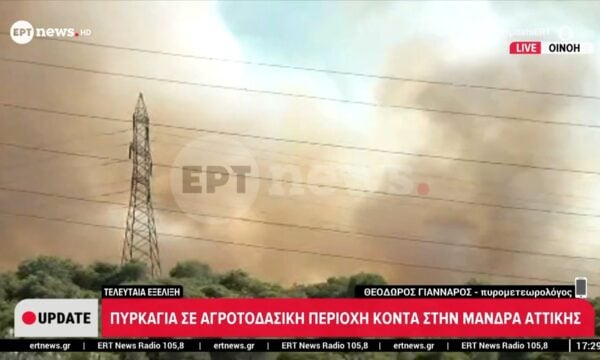 Θ. Γιάνναρος, πυρομετεωρολόγος: «Η πυρκαγιά βρίσκεται ανάμεσα στις καμμένες εκτάσεις του ’21 και του ’23»