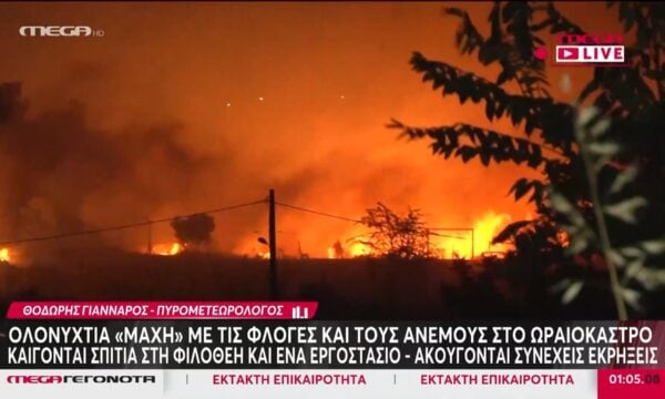 Θ. Γιάνναρος (πυρομετεωρολόγος): «Περιμένουμε σταδιακά να υποχωρήσουν οι άνεμοι – Πρέπει να αποκτήσουμε παιδεία»