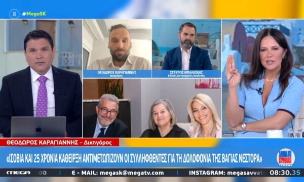 Θ. Καραγιάννης: «Ισόβια και 25 χρόνια κάθειρξη αντιμετωπίζουν οι συλληφθέντες για τη δολοφονία της Βάγιας Νέστορα»
