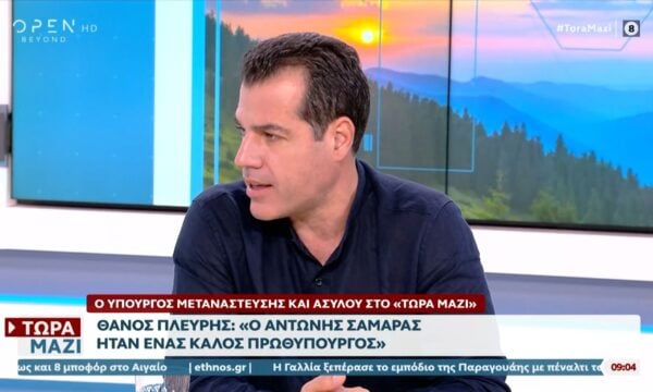 Θάνος Πλεύρης: «Οι νεοδημοκράτες εκπροσωπούνται μόνο από τη ΝΔ»