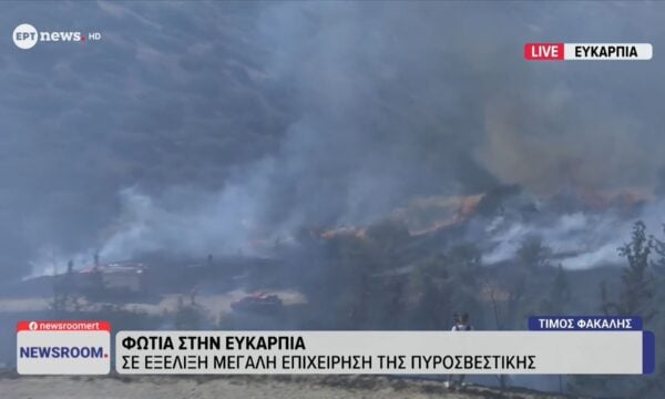 Θεσσαλονίκη: Σε εξέλιξη φωτιά στην Ευκαρπία – Δεν απειλούνται κατοικημένες περιοχές, ήχησε το 112