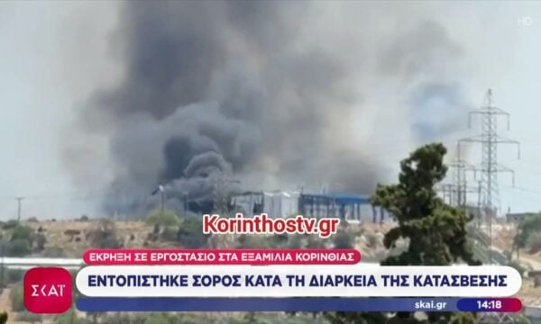 Τι δήλωσαν ο Πρωθυπουργός και ο αυστριακός Καγκελάριος για ενέργεια, μεταναστευτικό, οικονομία, Μ.Ανατολή