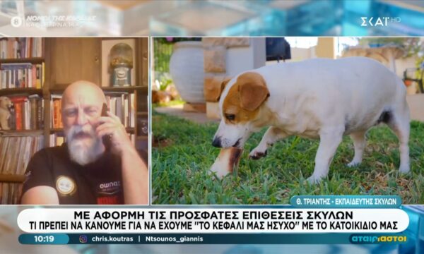 Τι πρέπει να κάνουμε με το κατοικίδιό μας για να είμαστε ασφαλείς