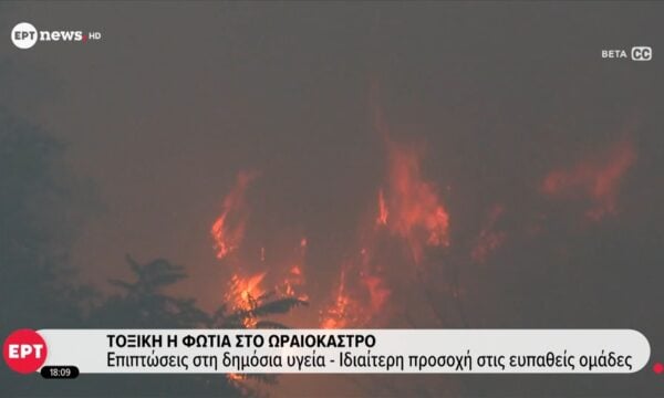 Τοξική η φωτιά στο Ωραιόκαστρο: Επιπτώσεις στη δημόσια υγεία, ιδιαίτερη προσοχή στις ευπαθείς ομάδες