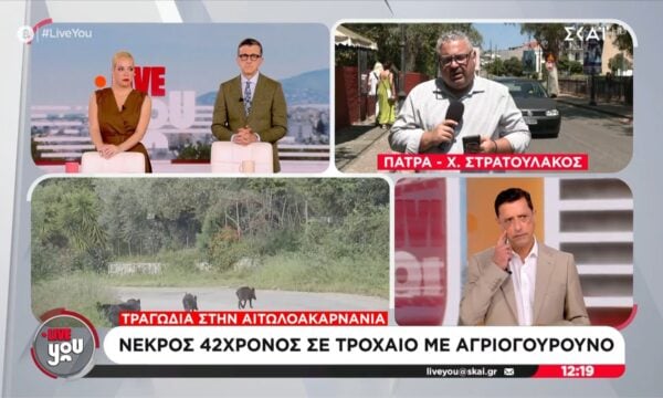 Τραγωδία στην Αιτωλοακαρνανία | Νεκρός 42χρονος σε τροχαίο με αγριογούρουνο