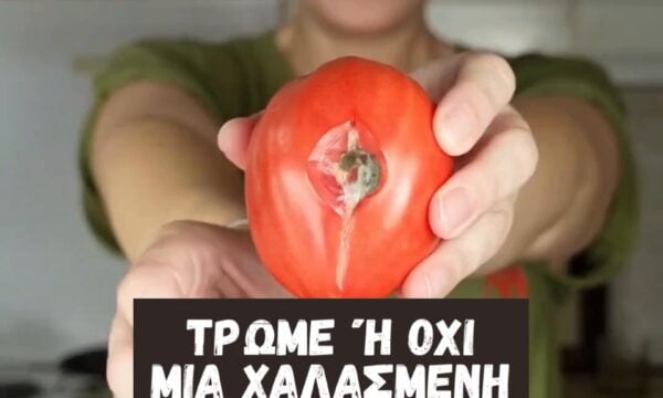 τρώμε ή ώχι μια χαλασμένη ντομάτα;