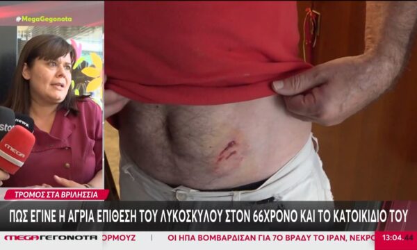 Τρόμος στα Βριλήσσια: Λυκόσκυλο επιτέθηκε σε άνδρα και σκότωσε το κατοικίδιό του