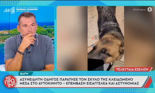 Βάρη: Ασυνείδητη οδηγός παράτησε σκύλο κλειδωμένο στο αυτοκίνητο – Το Πρωινό – 01/07/2026