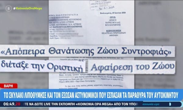 Βάρη: Συνελήφθη η γυναίκα που άφησε κλεισμένο τον σκύλο της στο αυτοκίνητο εν μέσω υψηλών θερμοκρασιών