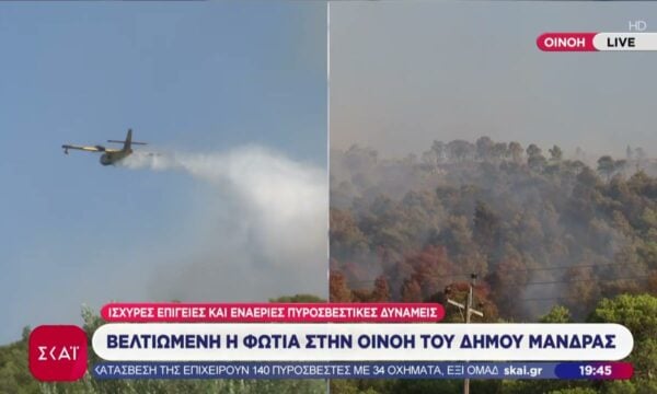 Βελτιωμένη η εικόνα στη μεγάλη φωτιά της Οινόης – “Μάχη” 210 πυροσβεστών στο σημείο