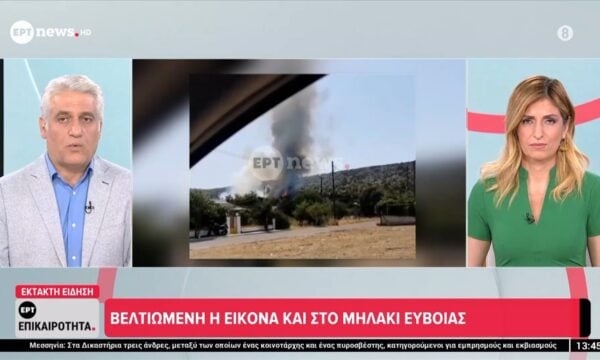 Βελτιωμένη η εικόνα της φωτιάς σε Σαλαμίνα και Εύβοια