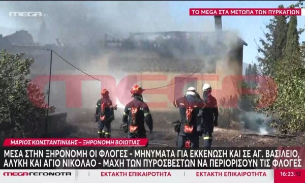 Βιωτία: Μάχη με τις φλόγες δίνουν οι δυνάμεις της πυροσβεστικής