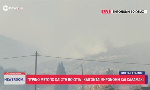 Βοιωτία: Οι φλόγες μπήκαν στο χωριό Ξηρονομή – Καίγονται αγροτικές εγκαταστάσεις και μηχανήματα