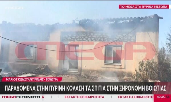 Βοιωτία: Παραδομένα στην πύρινη κόλαση τα σπίτια στην Ξηρονομή