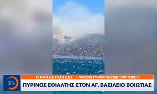 Βοιωτία: Πύρινος εφιάλτης στον Άγιο Βασίλειο – Εκκενώσεις από τη θάλασσα