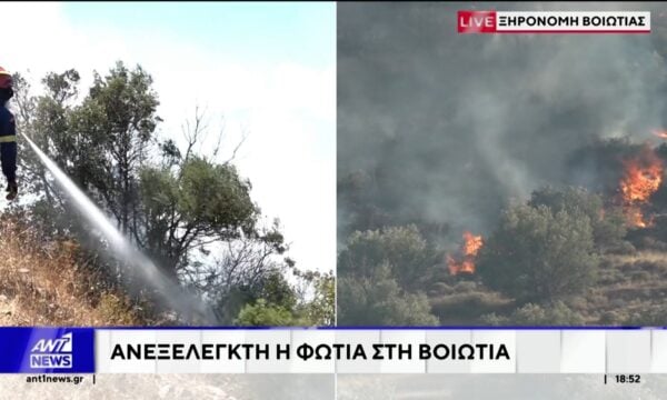 Βοιωτία: Τιτάνια μάχη με τις φλόγες στην Ξηρονομή