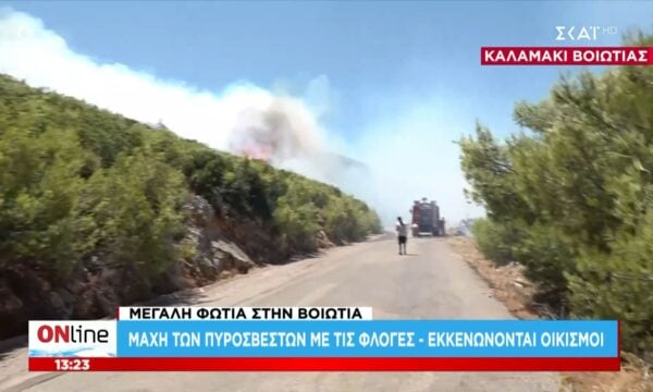 Βοιωτίας: Πέρασε τον δρόμο και κινείται προς τα Βίλια και το Πόρτο Γερμενό