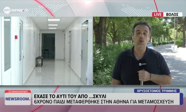 Βόλος: Έχασε το αυτί του από… σκυλί