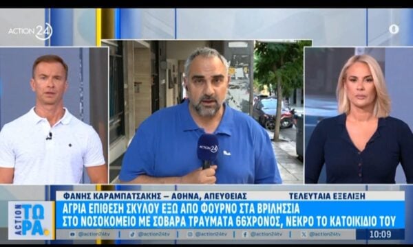 Βριλήσσια: Άγρια επίθεση σκύλου έξω από φούρνο