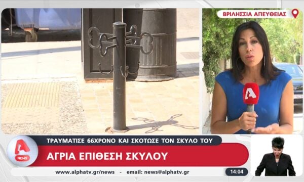 Βριλήσσια: Άγρια επίθεση σκύλου – Τραυμάτισε 66χρονο και σκότωσε τον σκύλο του
