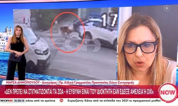 Βριλήσσια-Μ. Δημοπούλου: «Δεν πρέπει να στιγματίζονται τα ζώα – Η ευθύνη είναι του ιδιοκτήτη»