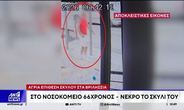 Βριλήσσια: Σκύλος επιτέθηκε σε 66χρονο