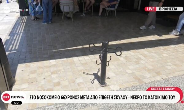 Βριλήσσια: Σκύλος επιτέθηκε σε πεζό και σκότωσε το κατοικίδιό του – Συνελήφθη η ιδιοκτήτρια