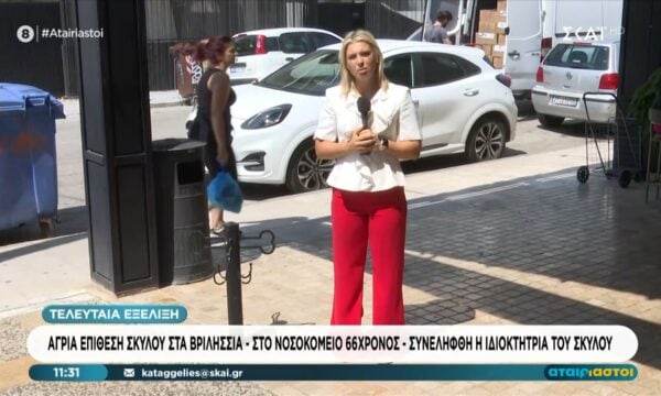 Βριλήσσια: Το σημείο όπου σκύλος επιτέθηκε σε πεζό και σκότωσε το κατοικίδιό του – Συνελήφθη η ιδιοκτήτρια